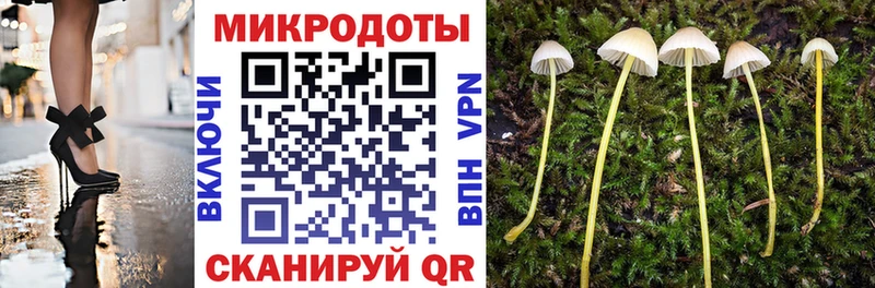 МЕГА ТОР  Ступино  Галлюциногенные грибы Cubensis 