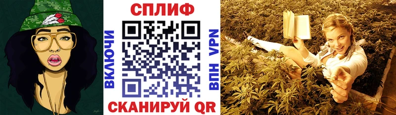 как найти закладки  Ступино  Конопля гибрид 
